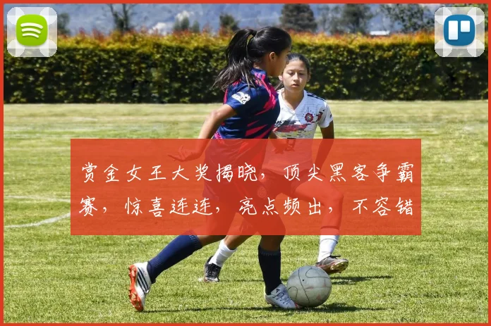 赏金女王大奖揭晓，顶尖黑客争霸赛，惊喜连连，亮点频出，不容错过