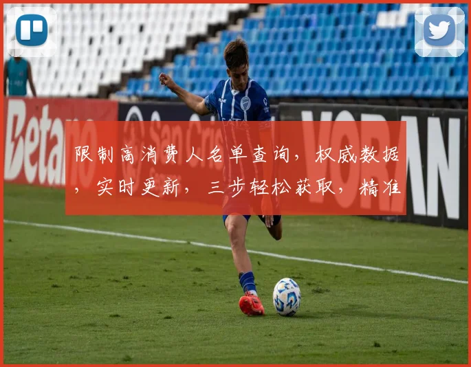 限制高消费人名单查询，权威数据，实时更新，三步轻松获取，精准筛选，合规查询。