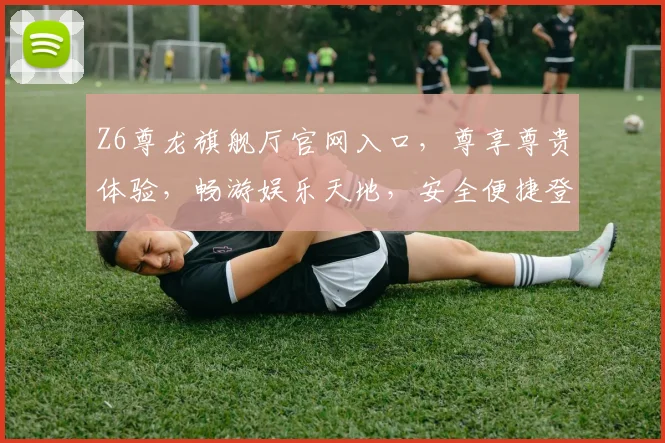 Z6尊龙旗舰厅官网入口，尊享尊贵体验，畅游娱乐天地，安全便捷登录，一触即达